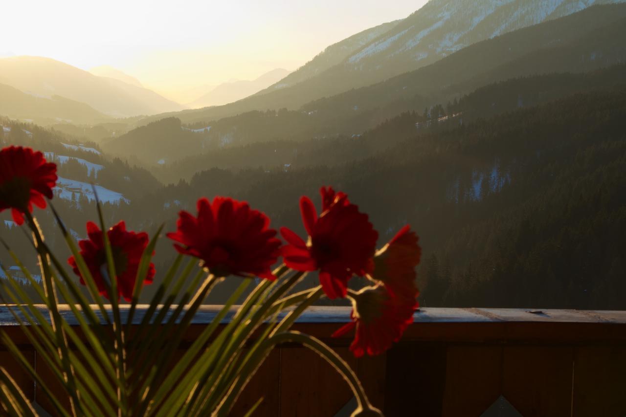 Hepi Lodge Liesing Exteriér fotografie